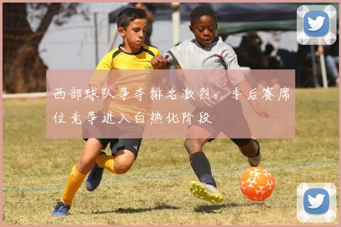 西部球队争夺排名激烈,季后赛席位竞争进入白热化阶段