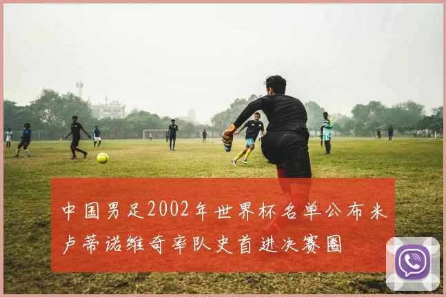 中国男足2002年世界杯名单公布米卢蒂诺维奇率队史首进决赛圈