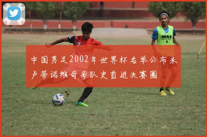 中国男足2002年世界杯名单公布米卢蒂诺维奇率队史首进决赛圈