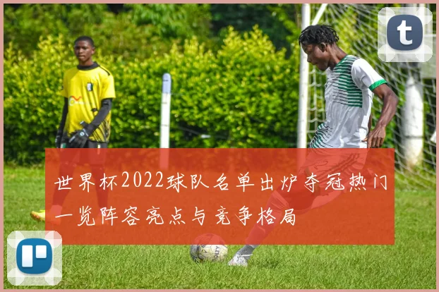 世界杯2022球队名单出炉夺冠热门一览阵容亮点与竞争格局